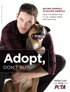 adopt-dont-buy