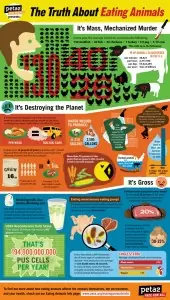 eating-animals-facts-infographic