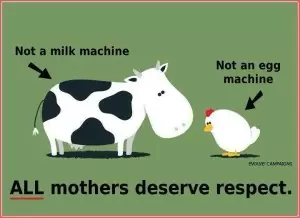 mother-respect