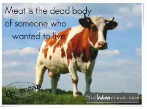 quote-cow