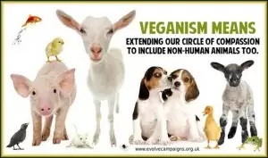 veganism-small